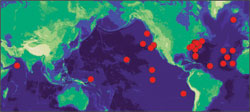 UOP Project Map