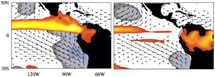 Surface winds in the eastern tropical Pacific